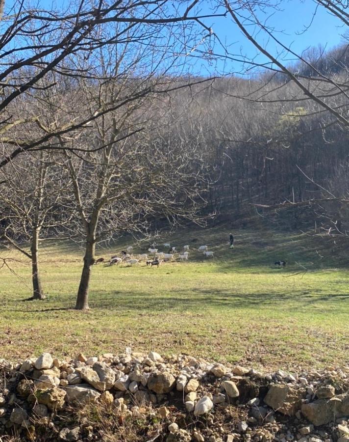 Soko holiday home Bihac Luaran gambar