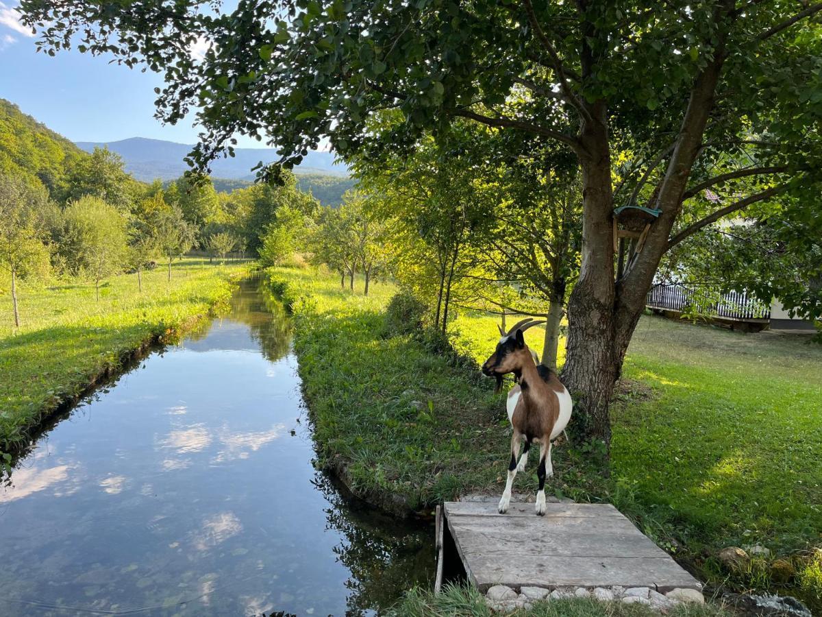 Soko holiday home Bihac Luaran gambar